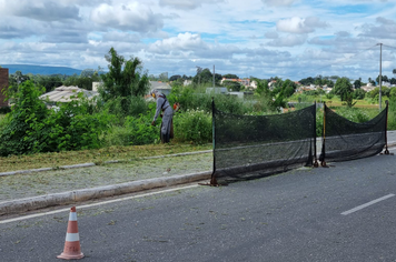 Limpeza Urbana