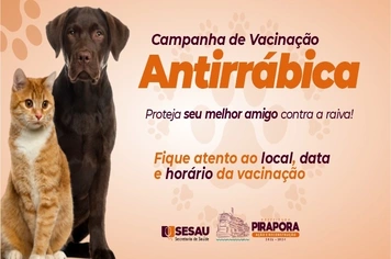 Secretaria de Saúde lança a Campanha de Vacinação Antirrábica