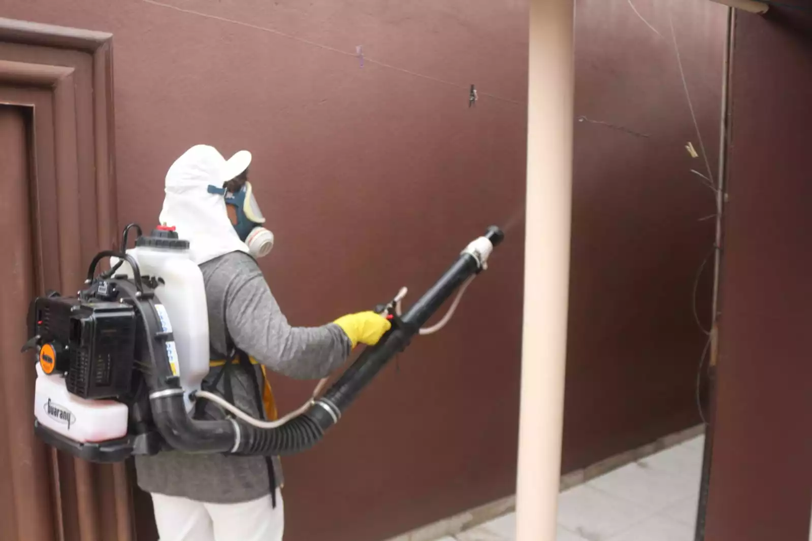 Confira as últimas ações no combate à dengue